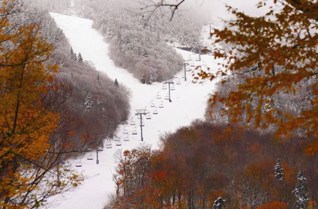 Top Five Fridays October 18, 2024: Stowe Snowliage Image