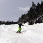 2019 Elan Ripstick 86 Women's Skis 5