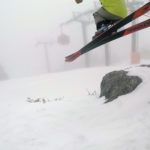 2019 Atomic Bent Chetler 100 Skis 4