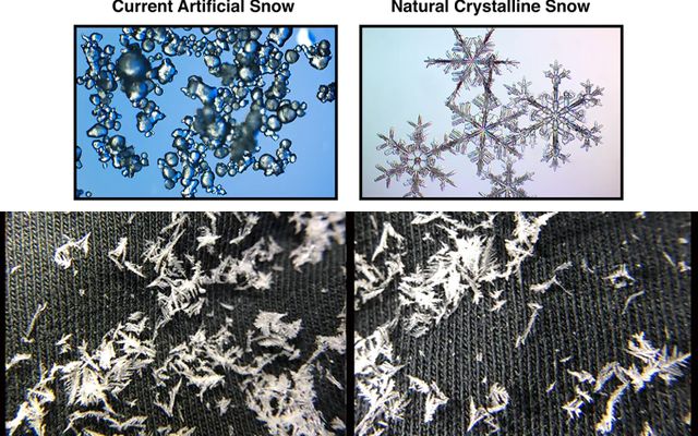 Top Five Fridays November 27, 2020: Microscopic Snow Image