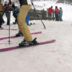 2019 DPS Uschi 94.2 Alchemist Women's Skis 2