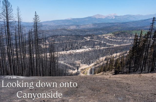 Top Five Fridays July 3, 2026: Eagle Point Resort Fire Image