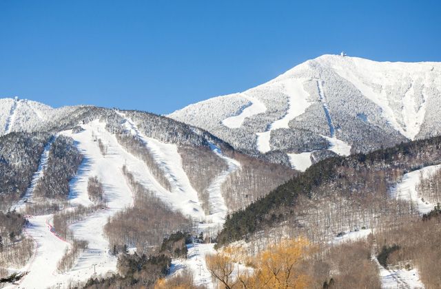 Top Five Fridays February 27, 2026: Whiteface Mountain Image