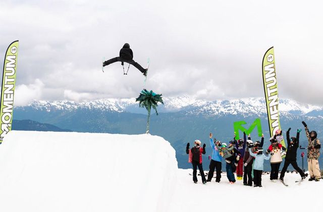 Top Five Fridays March 21, 2025: Momentum Camps Image