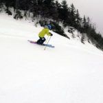 2019 Nordica Santa Ana 100 Women's Skis