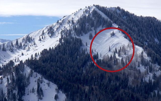 Top Five Fridays February 12, 2021: Milcreek Avalanche Image