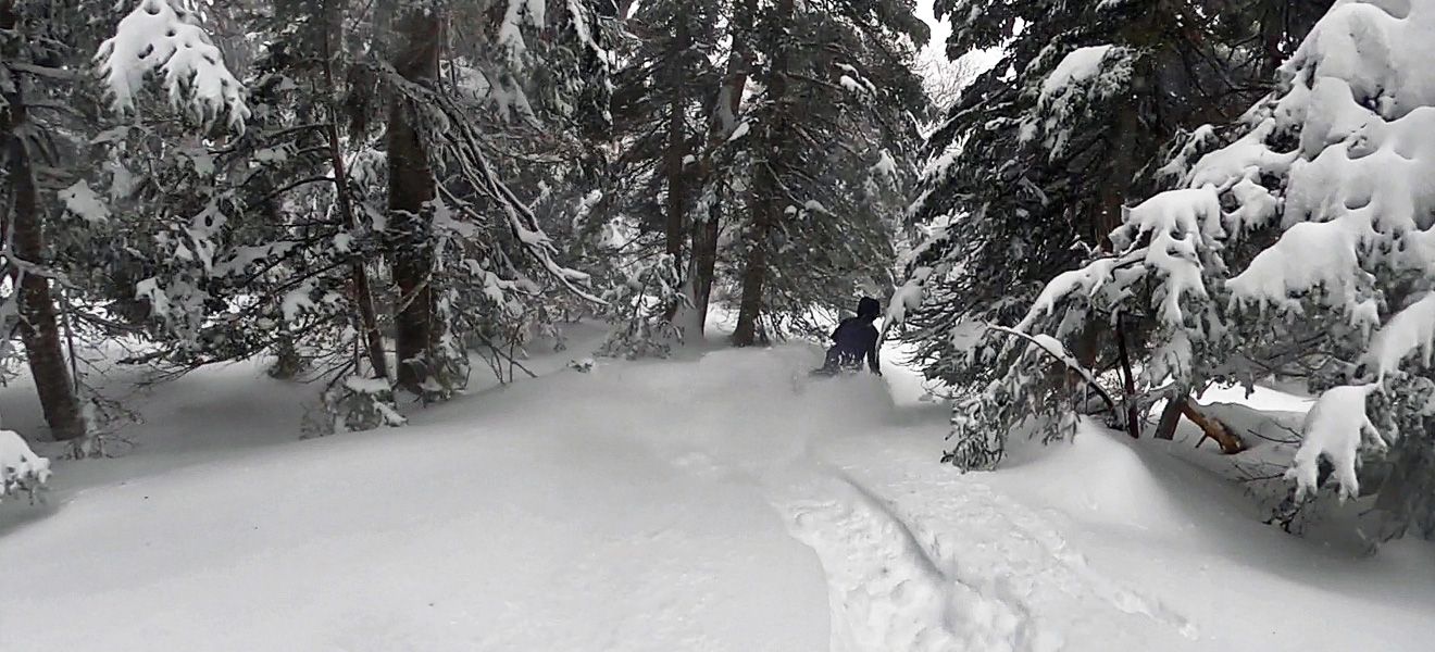 2021 Dynastar M-Free 108 Ski Review: Wide Action Image 2