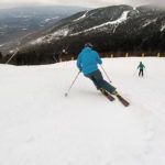 2019 Fischer Ranger 108 Skis