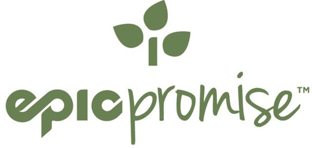 Top Five Fridays July 3, 2020: Epic Promise Image