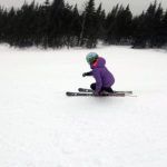2019 Volkl Flair SC Women's Skis 2
