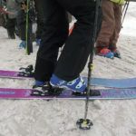 2019 Nordica Santa Ana 100 Women's Skis 4