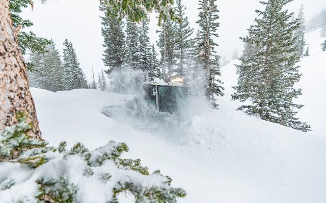 Top Five Fridays November 11, 2022: Snowbird Snow Image