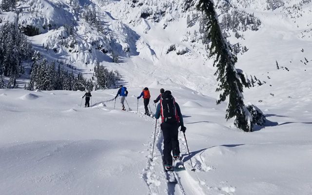Top Five Fridays March 12, 2021: Pro Guiding Service Tour Image