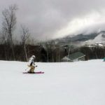 2019 DPS Uschi 94.2 Alchemist Women's Skis 4