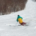 2018 Fischer Pro MTN 95 Skis