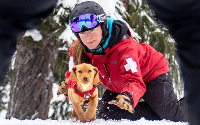 Top Five Fridays June 26, 2020: Steven's Pass Ski Patrol Image
