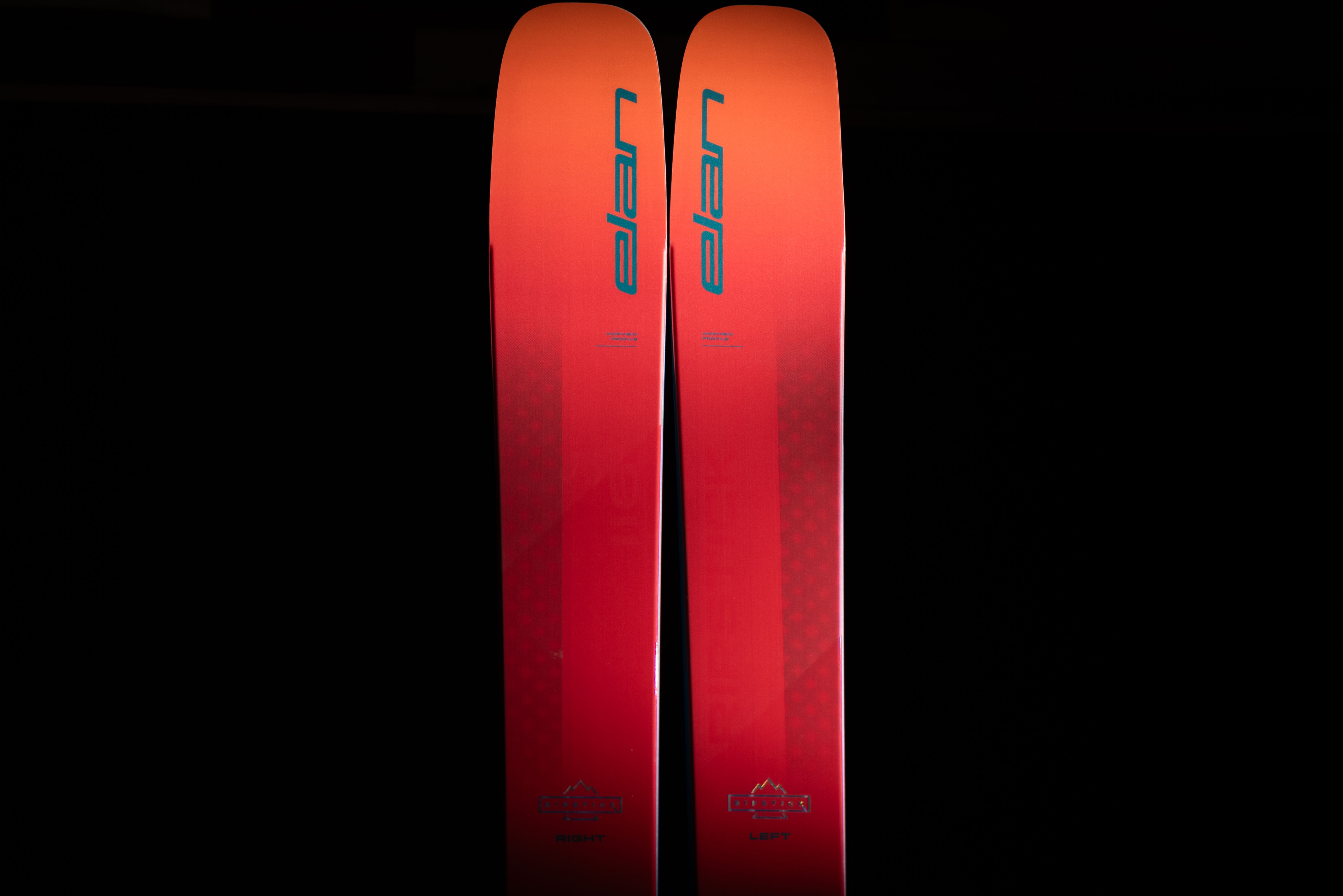 エランRIPSTICK 116mm シフトビンディングとコールテックスのシール エランRIPSTICK 116mm シフトビンディングとコールテックスの