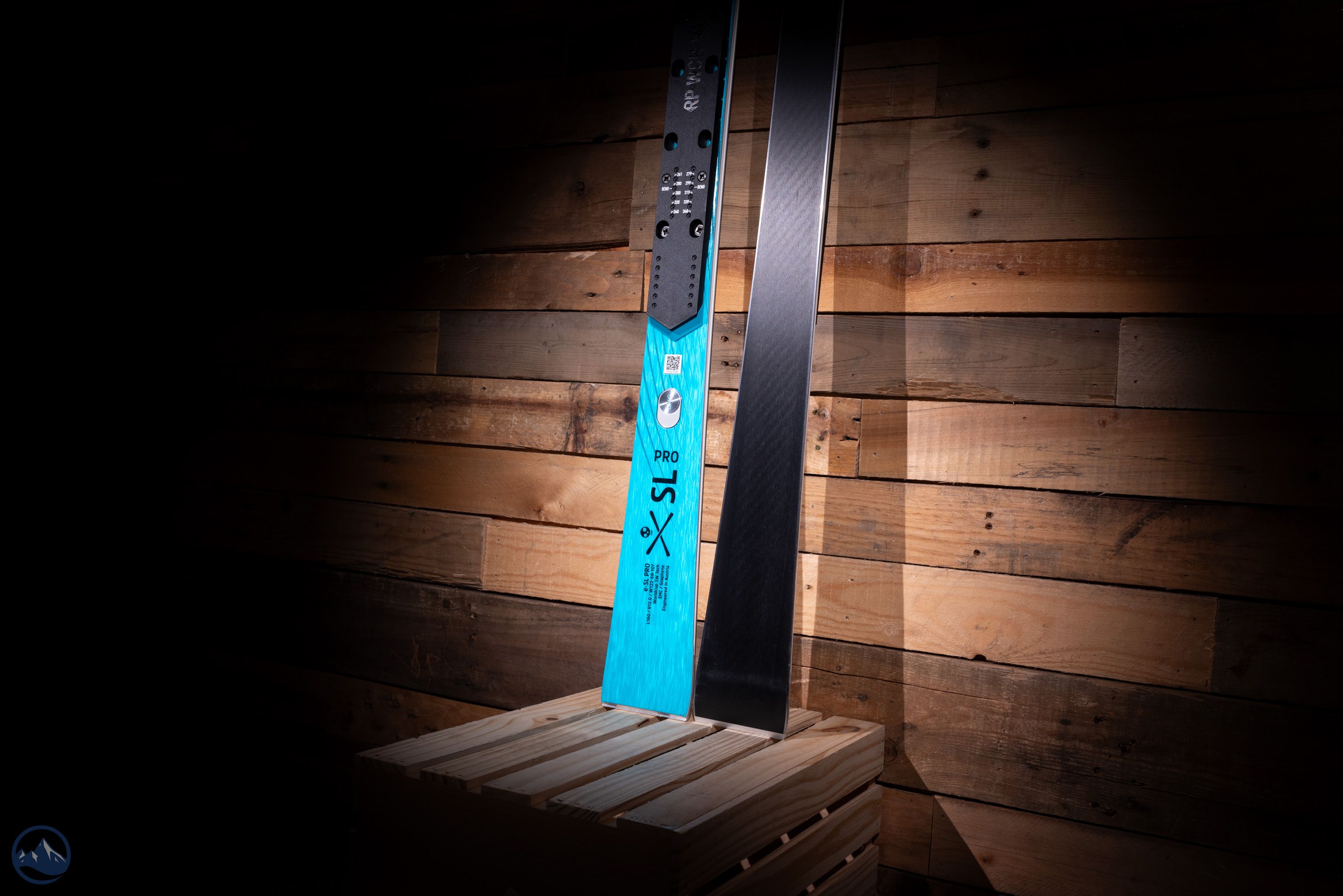 2022 Head Worldcup Rebels e-Race Pro | SkiTalk | Ski reviews