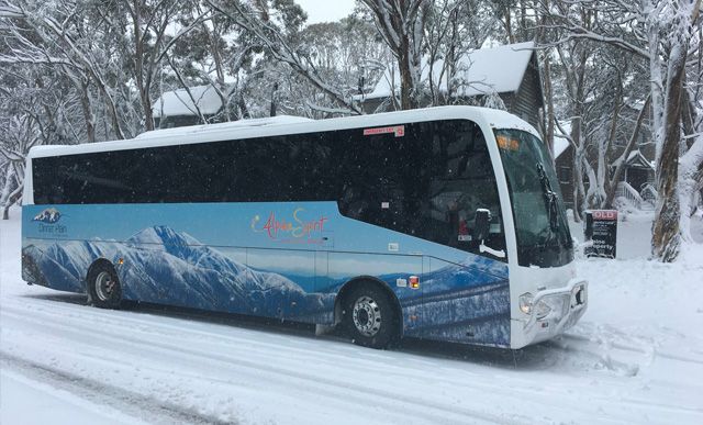 Top Five Fridays June 24, 2022: Alpine Spirit Coach Bus Image