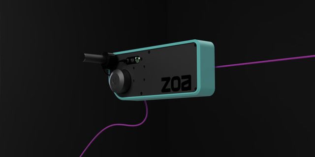 Top Five Fridays May 8, 2020: Zoa Image