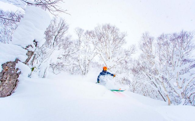 Top Five Fridays December 30, 2022: Niseko Powder Image