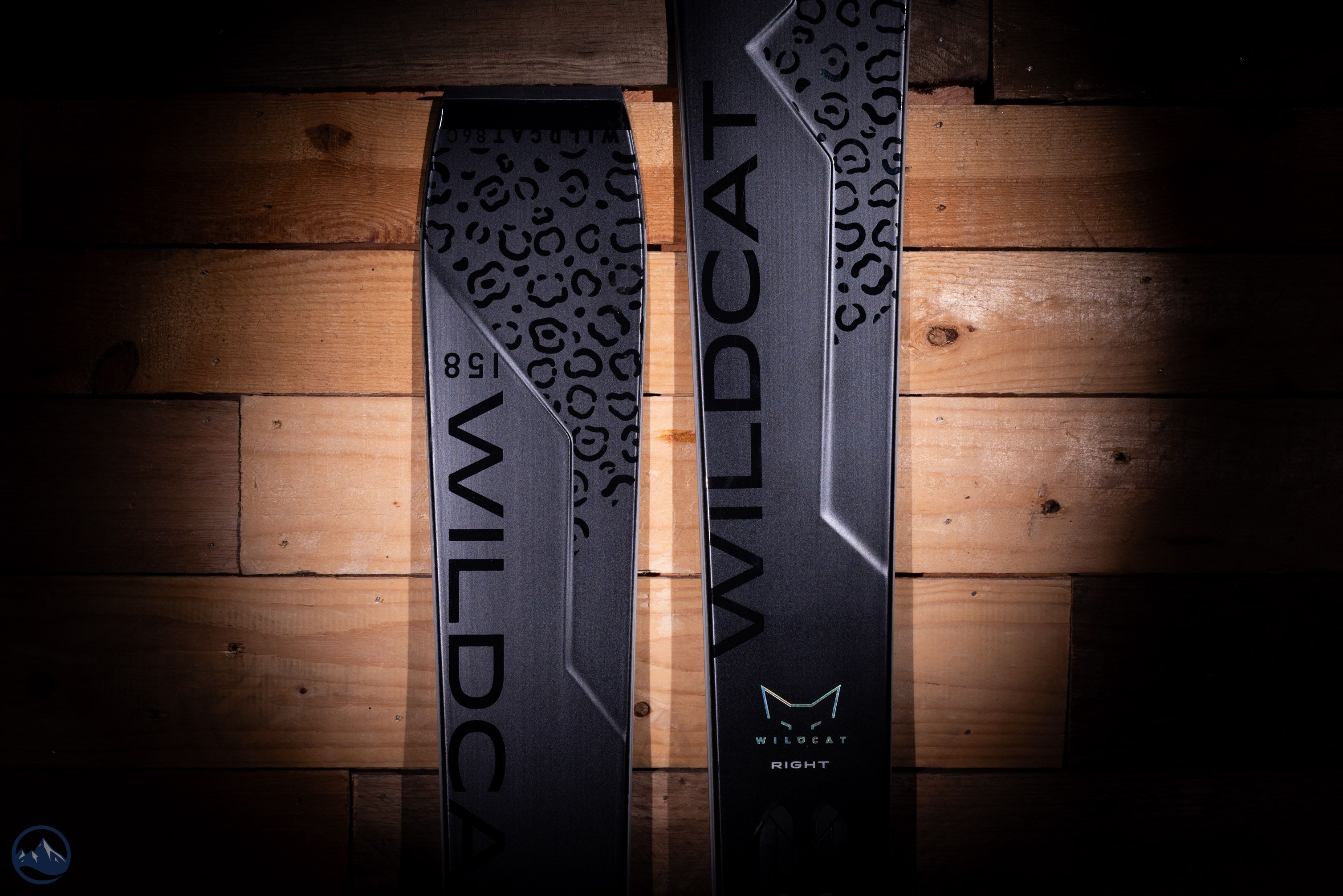 2025 Elan Wildcat 86 C Black Edition