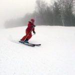 2019 DPS Uschi 87.2 Foundation Women's Skis 4