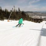 2020 DPS WAILER A106 C2