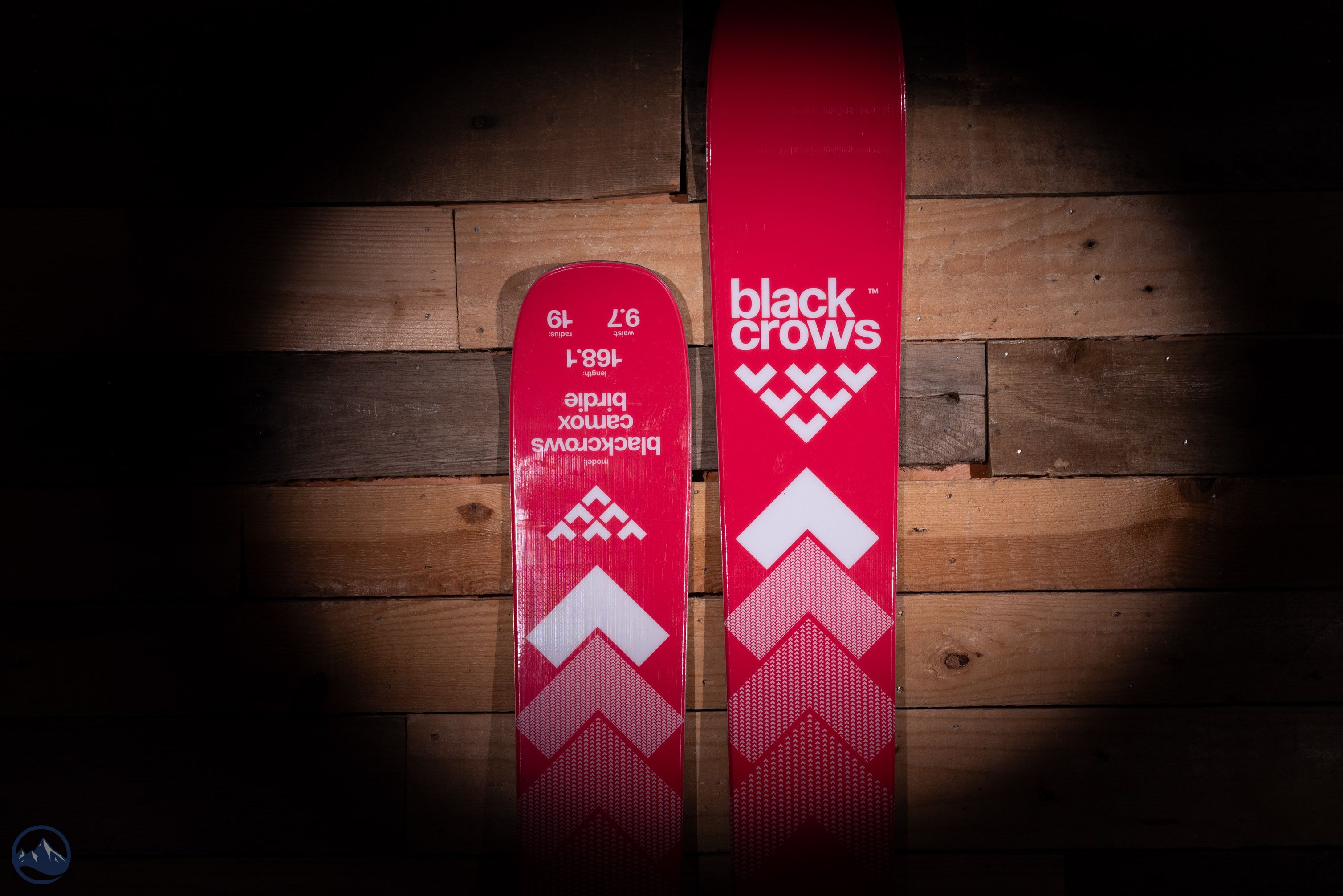 カービングスキー　black　crows　174cm　CAMOX　Birdie　24⁻25モデル　ビンディング　SALOMON　 Black Crow Camox Birdie Skis - Cole Sport