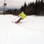 2019 Volkl RTM 86 Skis 2