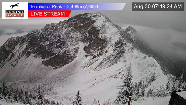Top Five Fridays September 4, 2026: Kicking Horse Dusting Image