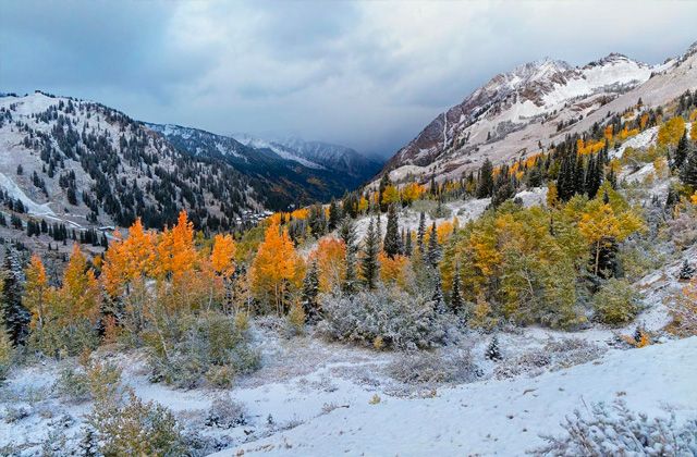 Top Five Fridays October 13, 2023: Alta Early Snowfall Image