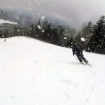 2019 Volkl Revolt 95 Skis 4