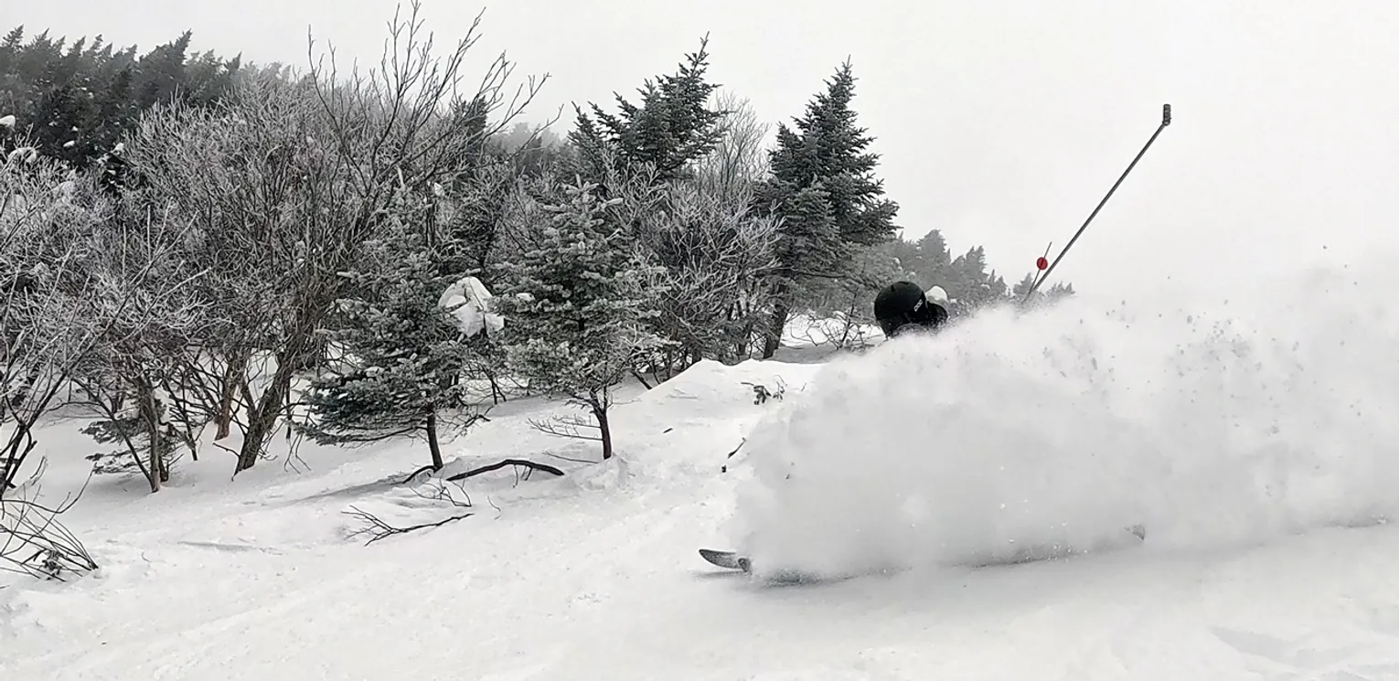 2027 Dynastar M-Free 94 Ski Review - Soft Snow Shot