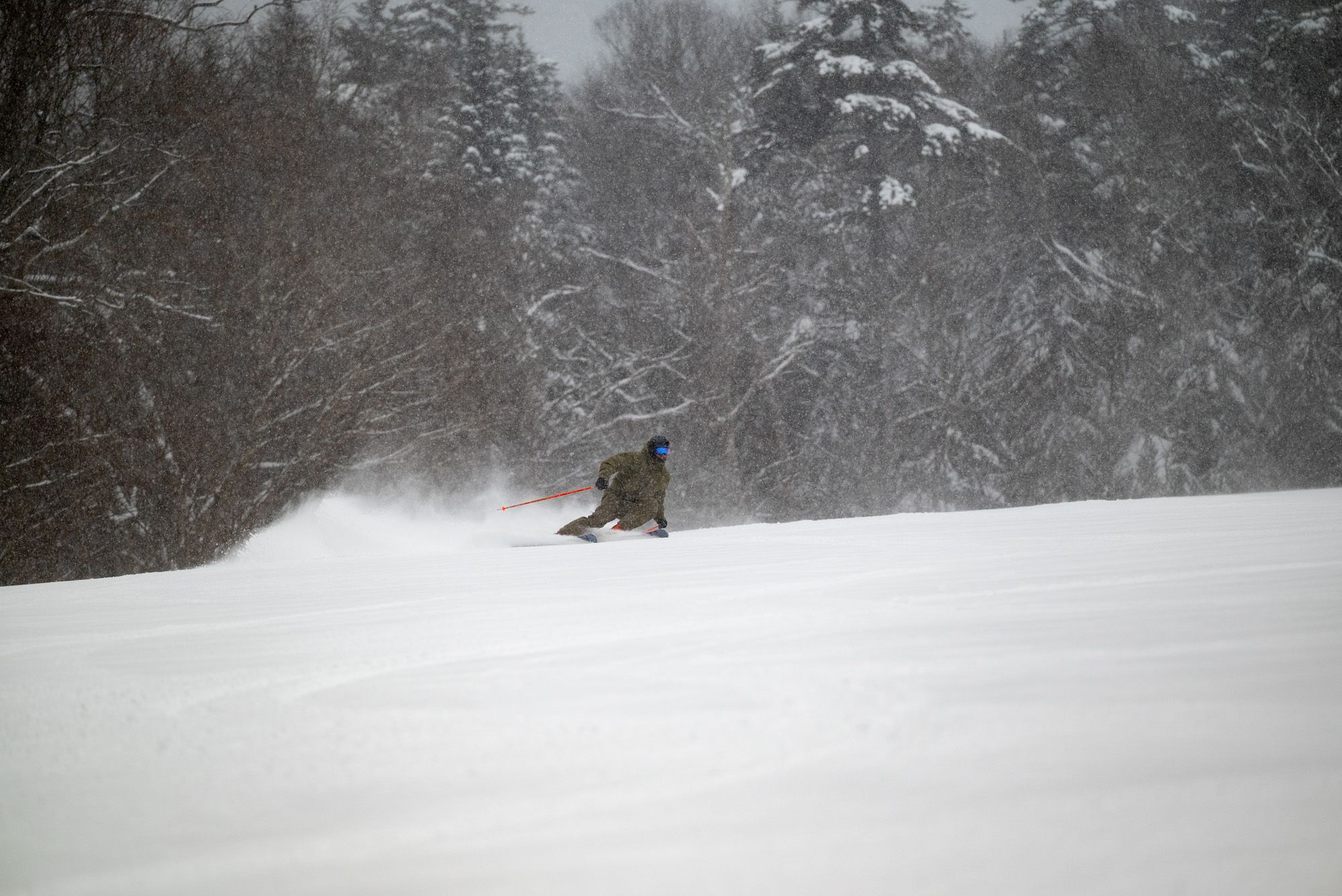2026 Rossignol Arcade 94 | SkiEssentials