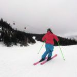 2019 Nordica Astral 88 Women's Skis 3
