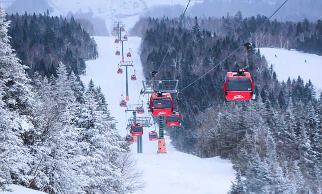 Top Five Fridays May 20, 2022: Stowe Mountain Resort Image