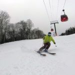 2019 Salomon QST 99 Skis 2