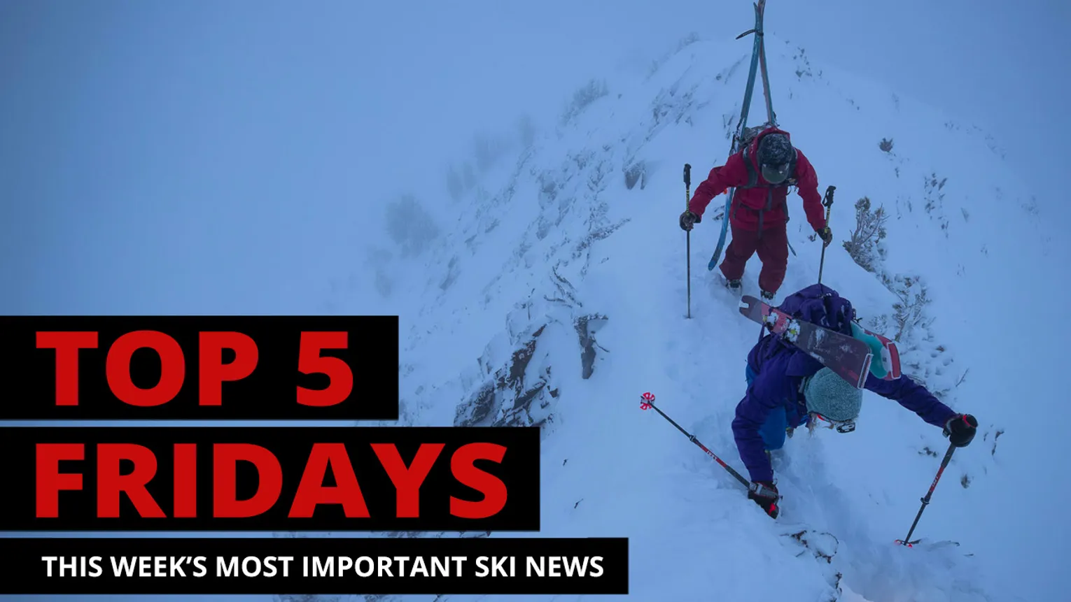 Top Five Fridays:January 12, 2024 - Lead Image