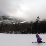 2019 Volkl Flair 81 Women's Skis