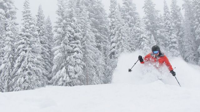 Top Five Fridays November 13, 2020: Steamboat Powdercat Skiing Image