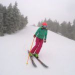 2018 Dynastar Legend W 84 Women's Skis