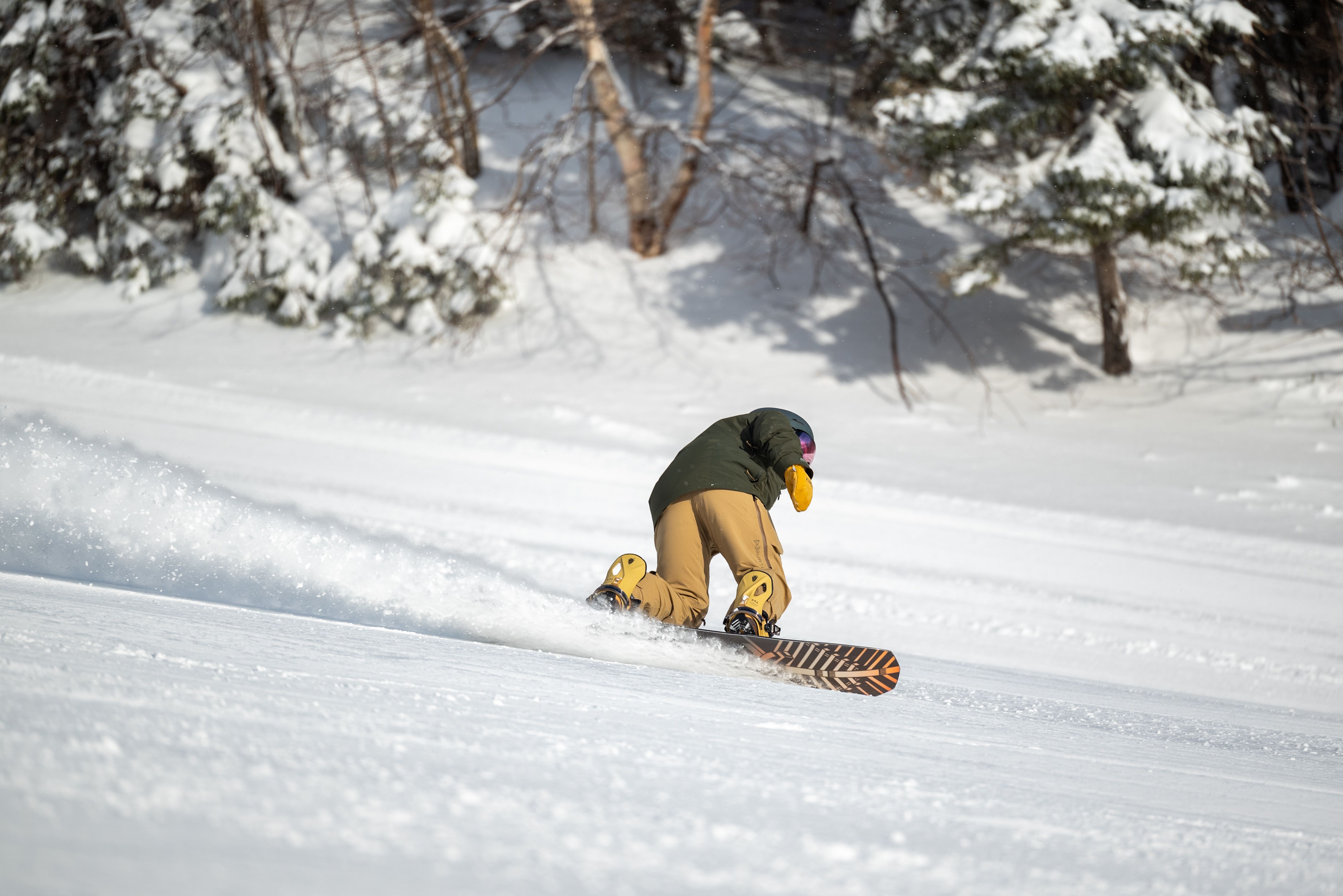 2024 Arbor Satori Camber