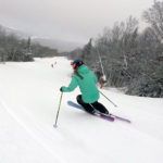 2019 Nordica Santa Ana 100 Women's Skis 2