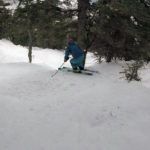 2019 Liberty Genesis 96 Women's Skis 2