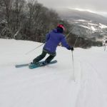 2019 Nordica Santa Ana 93 Women's Skis 5