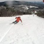 2019 Nordica Enforcer 110 Skis 3