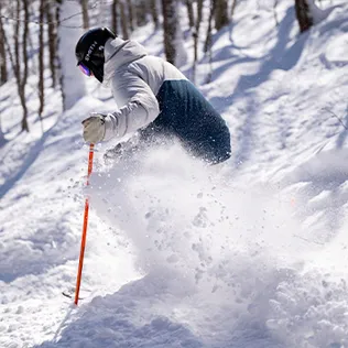 ALPINE SKI