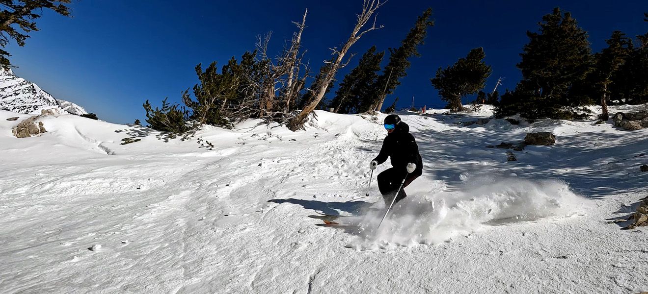 SkiEssentials Trip Report: Bob St.Pierre Full Width Action Image 2