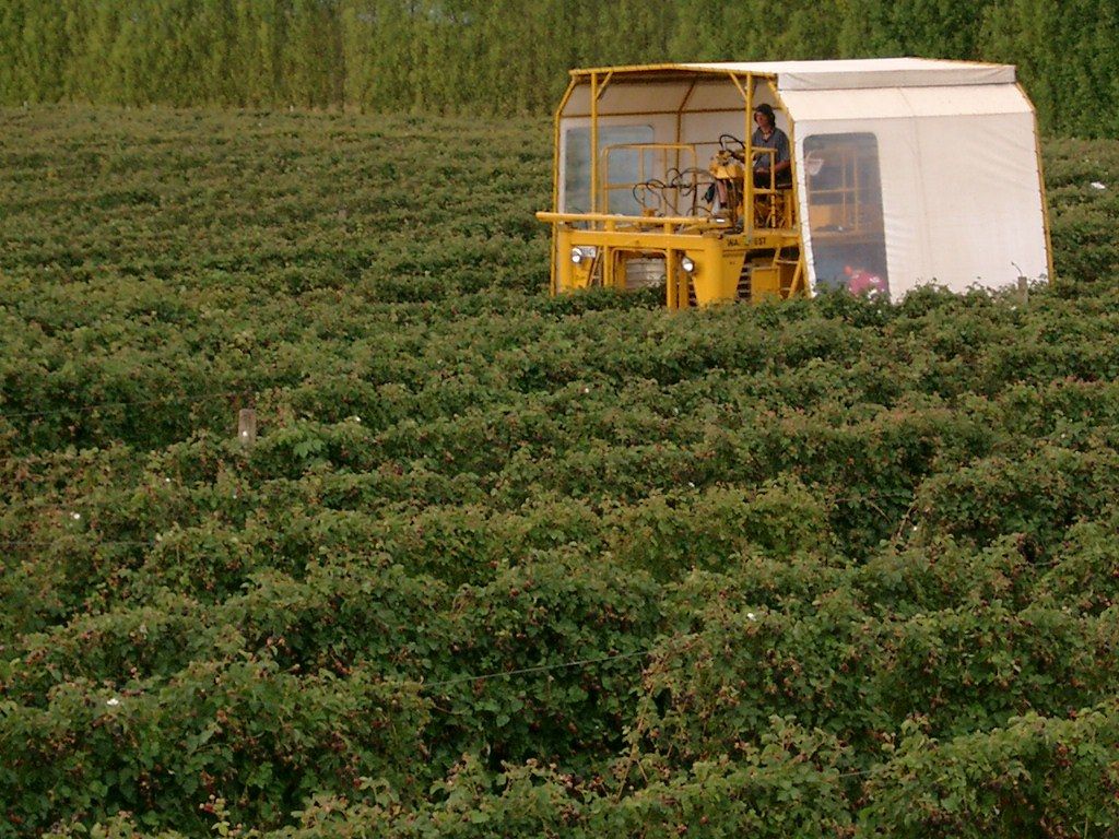 Barker's of Geraldine